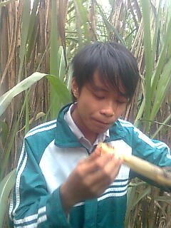 0ng nhan